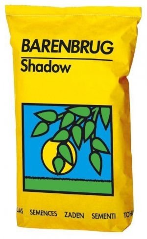Barenbrug Shadow